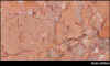 mrosaspring.jpg (64442 byte)