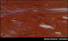 mrossofrancia_incarnat.jpg (57969 byte)