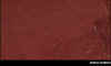 mrossorubino.jpg (49499 byte)