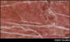 mrossotolomeo.jpg (58604 byte)