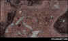 mstrawberrywine.jpg (75737 byte)