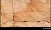 mteakwood.jpg (55484 byte)